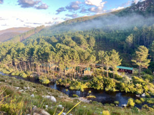 Cape Nature Walks | Buttonquail Trails