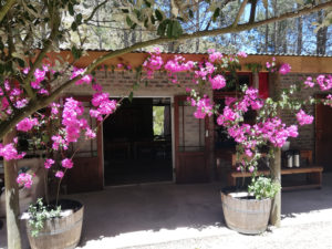 Cape Nature Walks | Buttonquail Trails