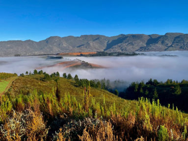Cape Nature Walks | Buttonquail Trail