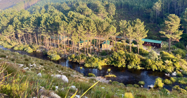 Cape Nature Walks | Buttonquail Trails