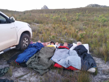 Cape Nature Walks | Buttonquail Family Experience