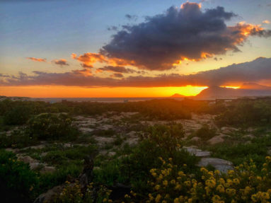 Cape Nature Walks | Over the berg trail