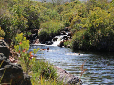 Cape Nature Walks | Over the berg trail