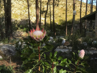 Cape Nature Walks | Over the berg trail