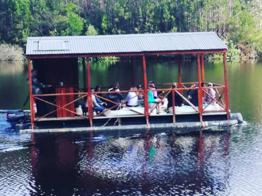 Cape Nature Walks | Woman’s Wellness Retreat